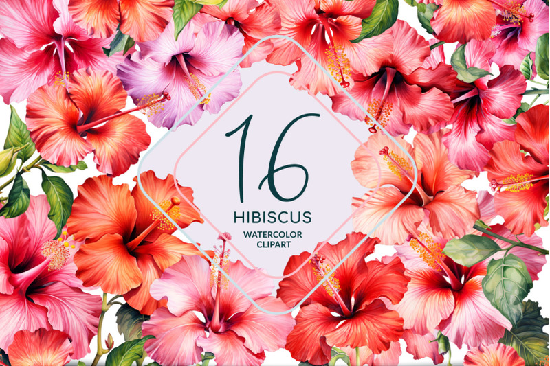 hibiscus-watercolor-clipart