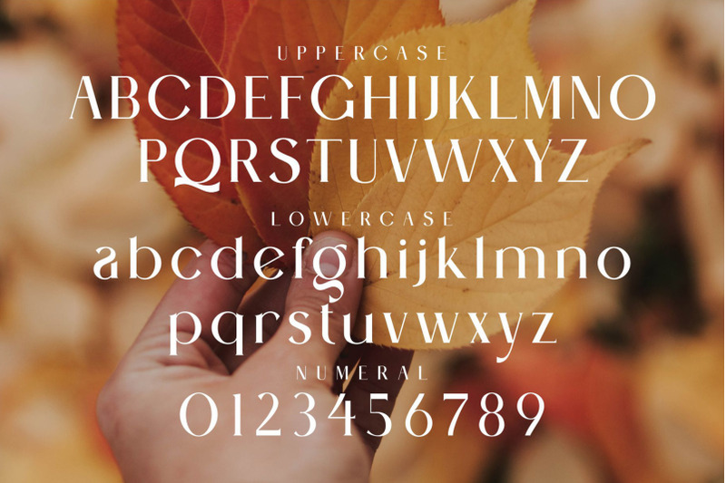 bilend-modern-ligature-serif-typeface