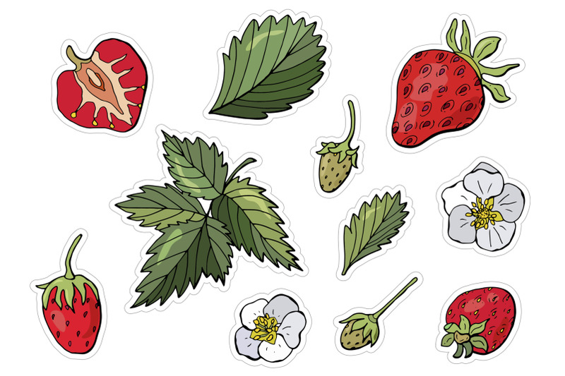 strawberry-printable-stickers-cricut-design