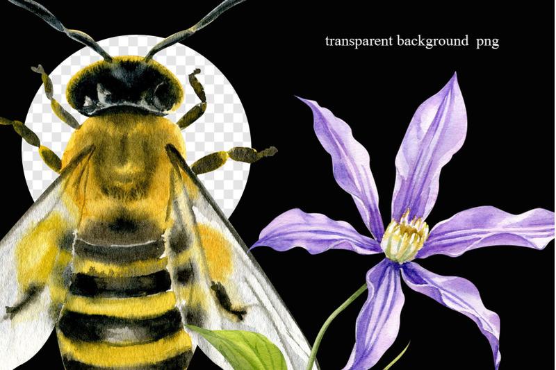 bee-kind-bumble-bee-wasp-clipart-flower-png