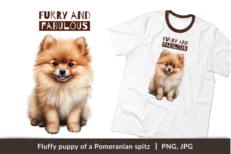 fluffy-puppy-of-a-pomeranian-spitz