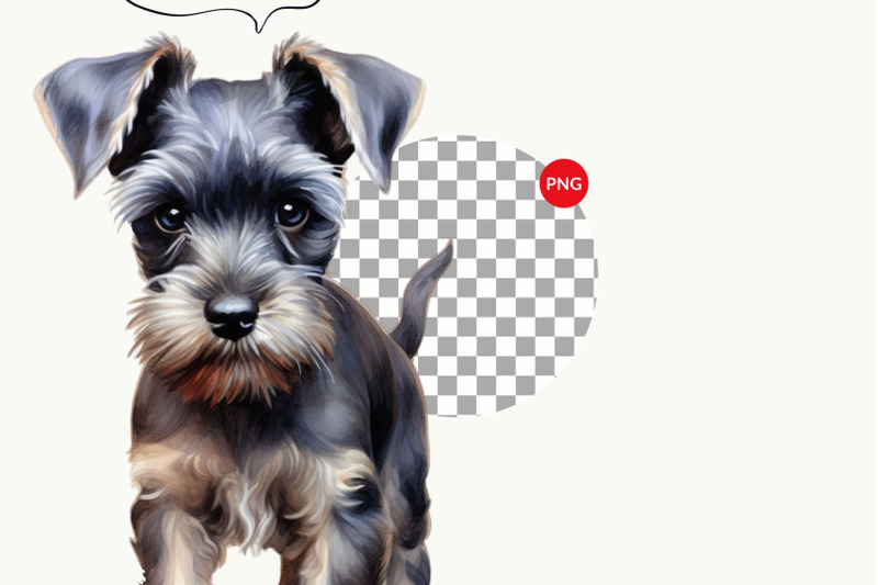 miniature-schnauzer-puppy