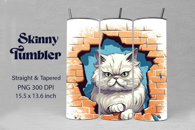 3d-graffiti-cartoon-persian-cat