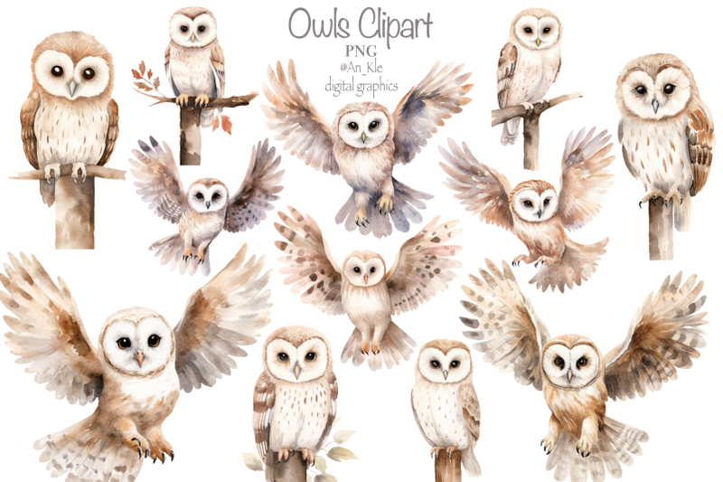 owls-clipart