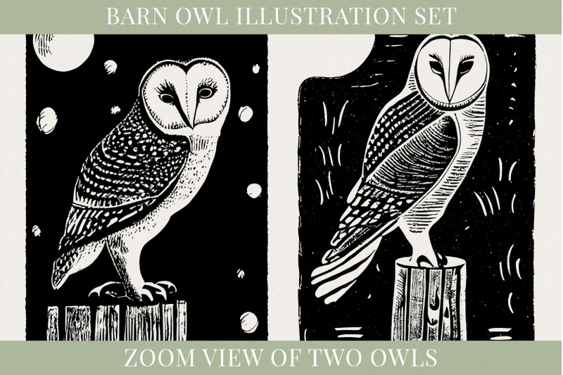 barn-owl-illustration-set
