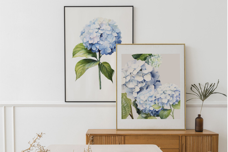 watercolor-hydrangea-clipart