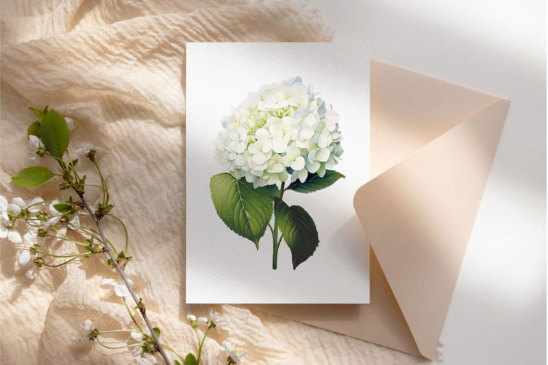 watercolor-hydrangea-clipart