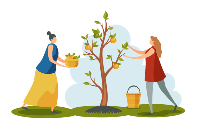 people-working-at-garden-women-collecting-apples-from-tree-in-garden