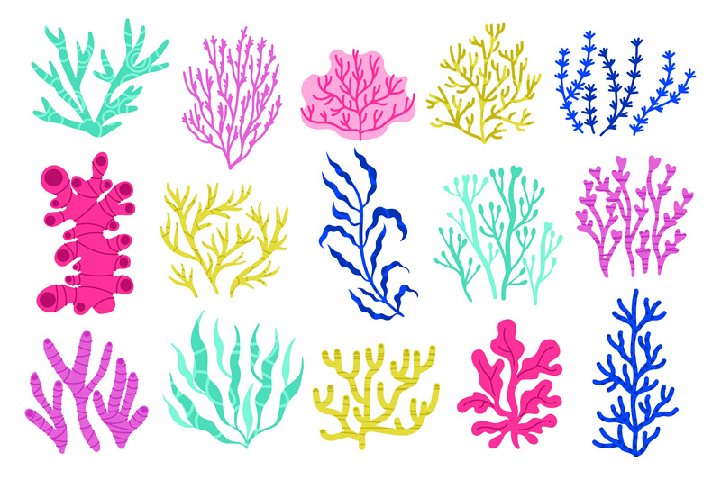 seaweeds-and-algae-cartoon-colorful-underwater-plants-colorful-exoti