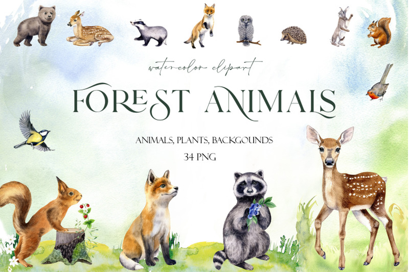 watercolor-forest-clipart-with-cute-woodland-animal-png