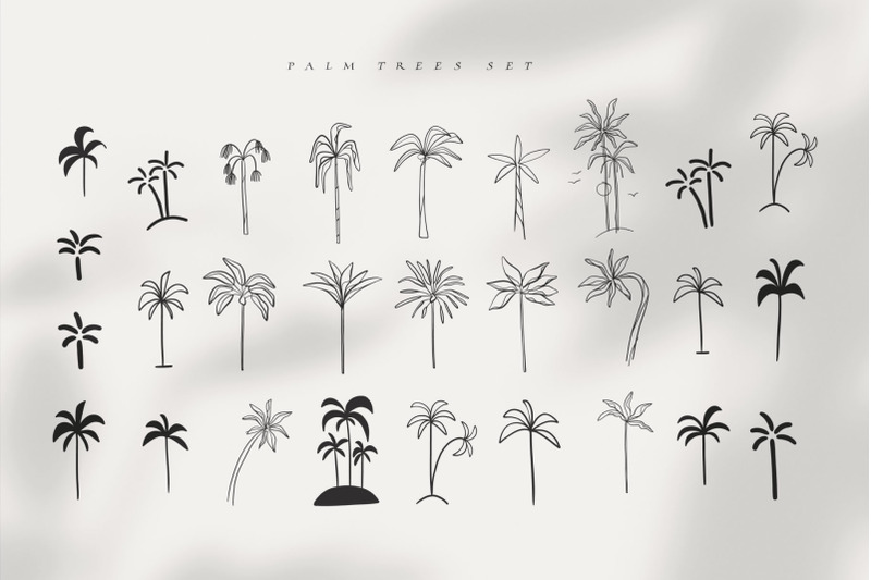 palm-summers