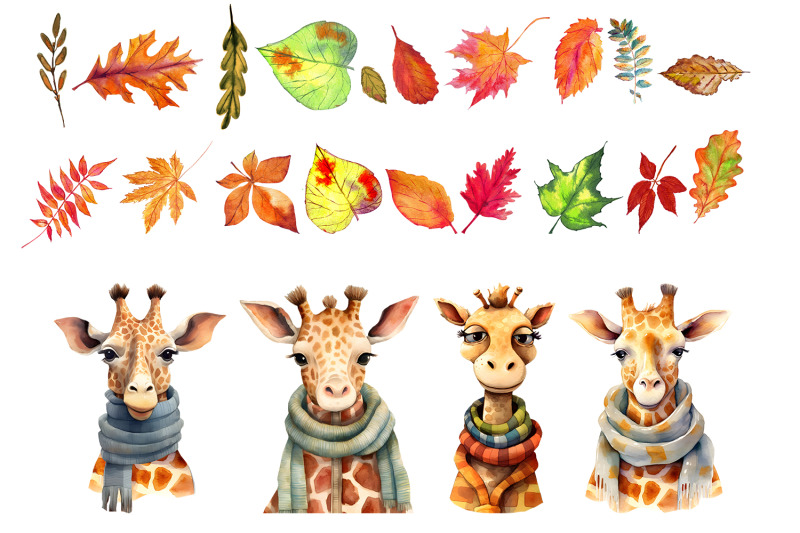 giraffe-in-autumn-clipart-bundle