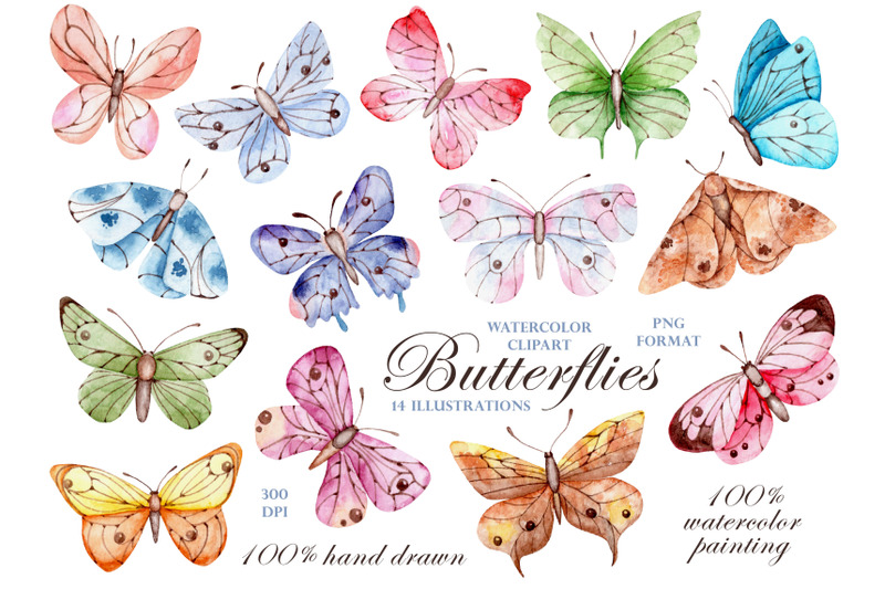 butterflies-watercolor-clipart-moths-insects