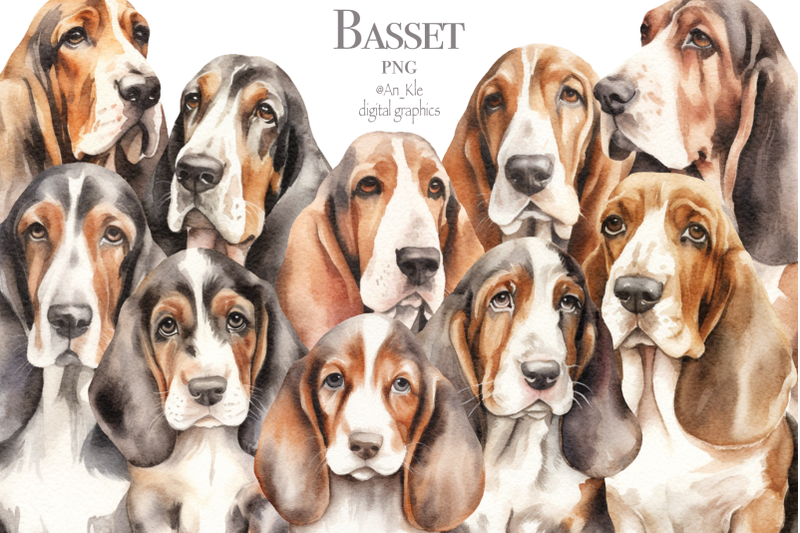 basset-hound-clipart