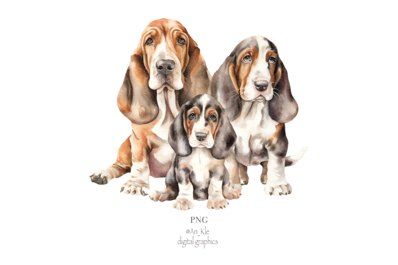 basset-hound-clipart