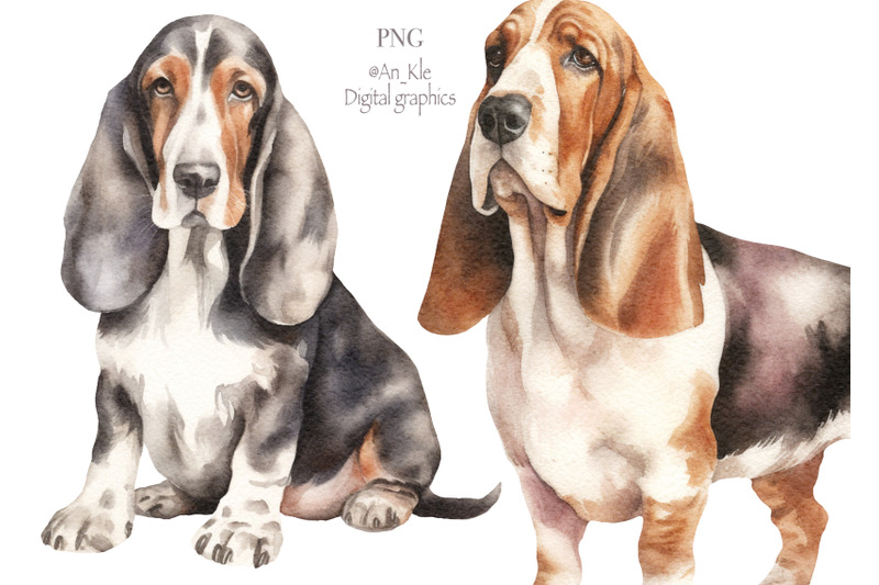 basset-hound-clipart