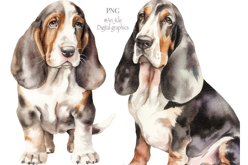 basset-hound-clipart