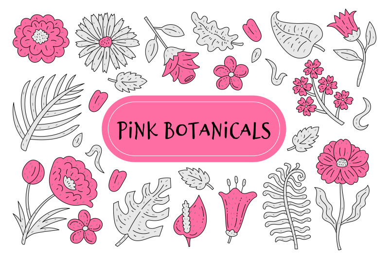 pink-botanicals-illustrations