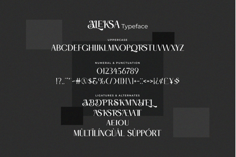 aleksa-modern-ligature-serif-typeface