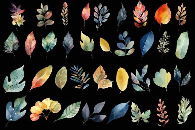 leaves-autumn-clipart-fall-illustration-bundle