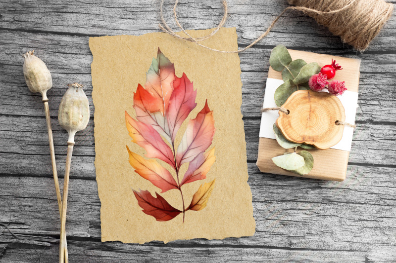 leaves-autumn-clipart-fall-illustration-bundle