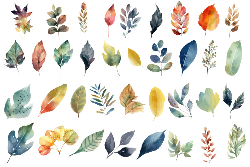 leaves-autumn-clipart-fall-illustration-bundle