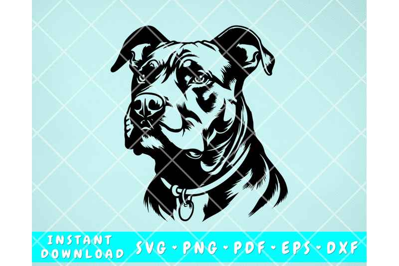 american-pit-bull-svg-american-pit-bull-clipart