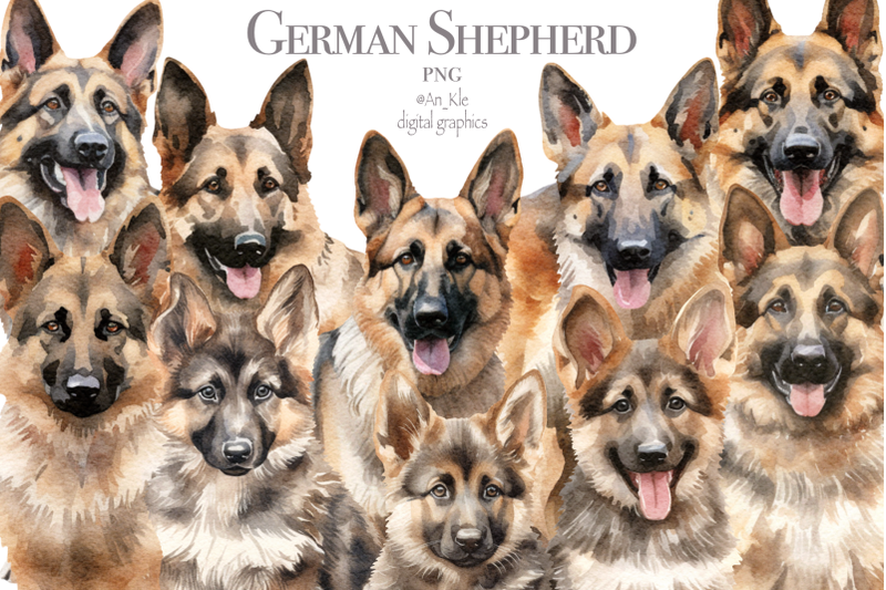 german-shepherd