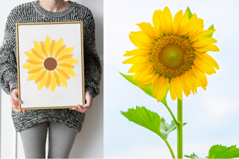 sunflower-clipart-svg-bundle