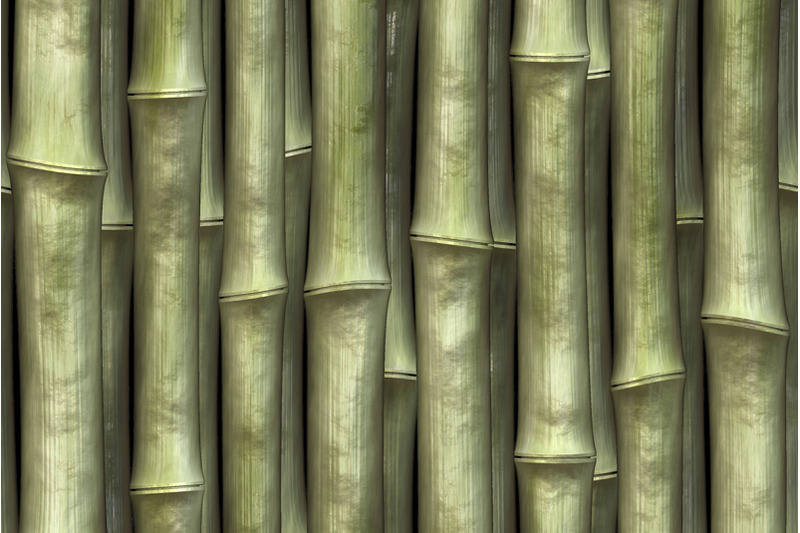 bamboo-textures