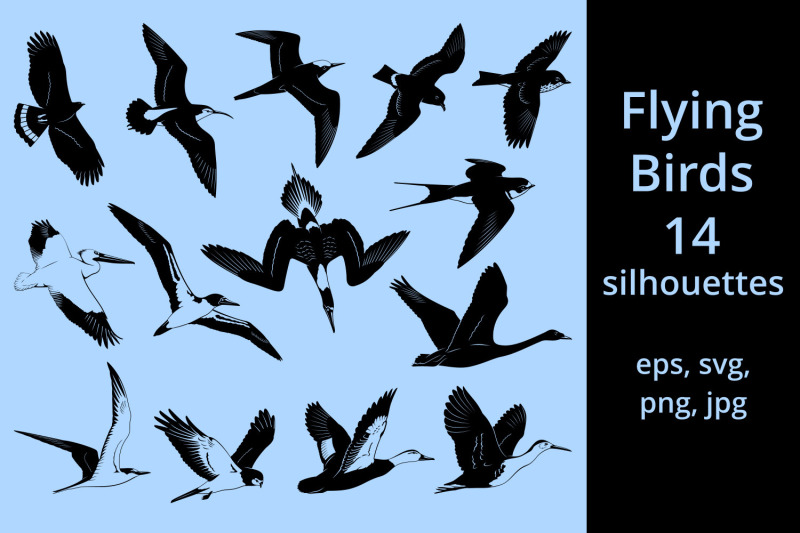 flying-birds-silhouettes