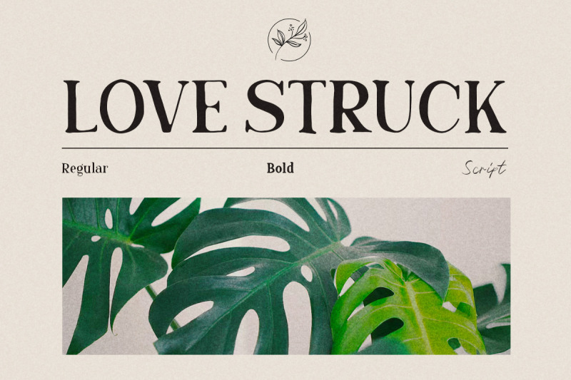 love-struck-hand-craft-font-duo