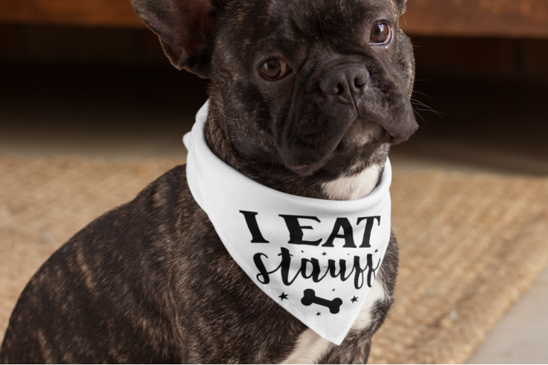 funny-dog-bandana-svg-bundle