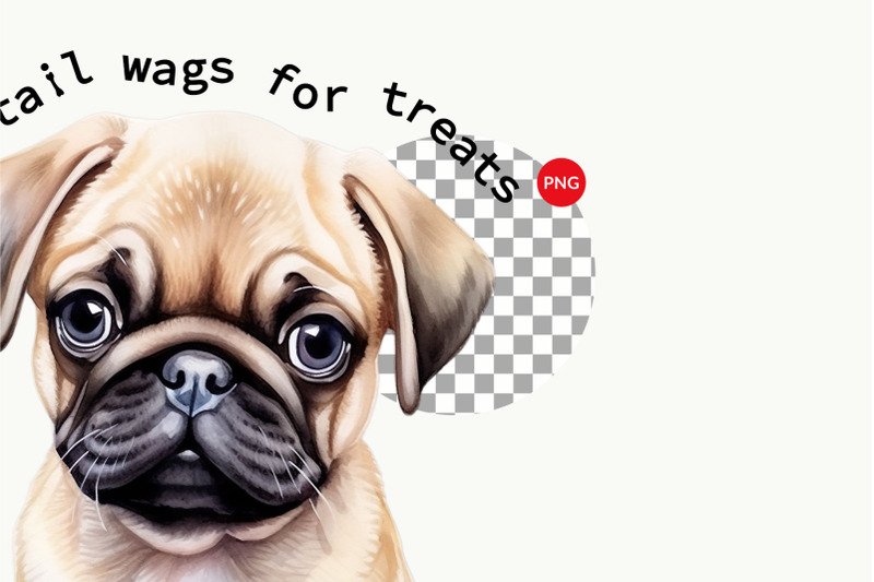 pug-puppy-sublimation