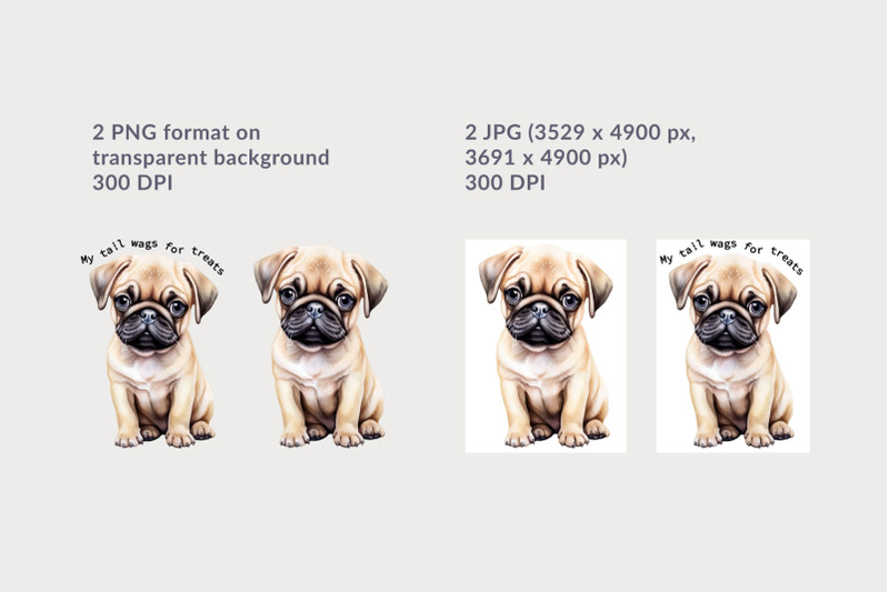 pug-puppy-sublimation