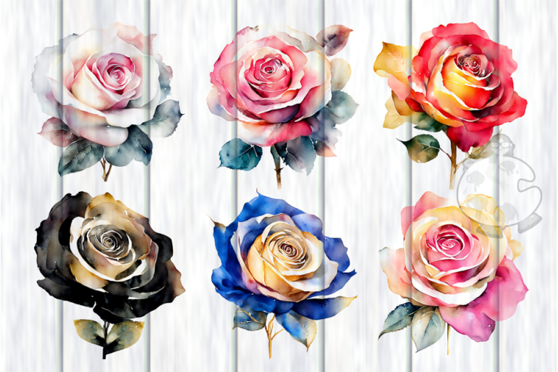 watercolor-roses-transparent-floral-illustrations