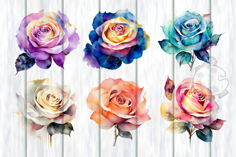 watercolor-roses-transparent-floral-illustrations