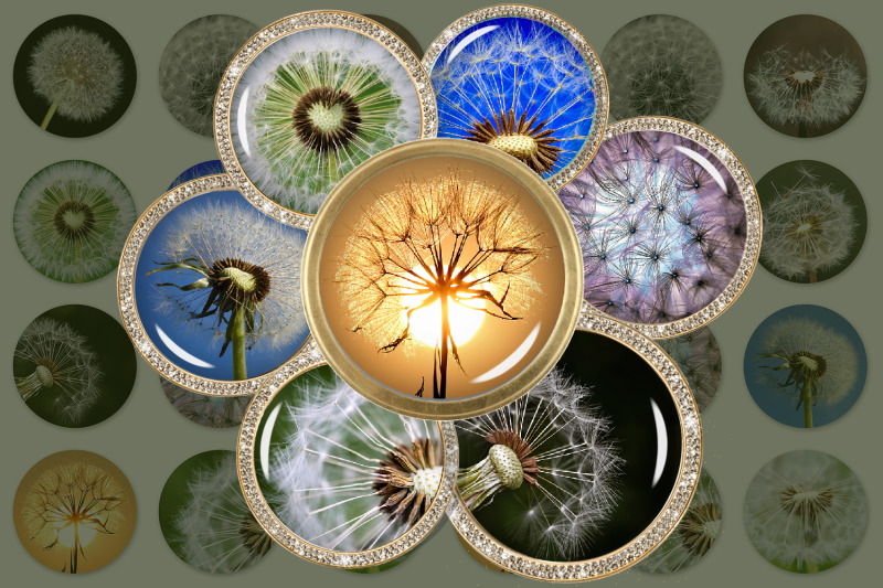 dandelion-digital-collage-sheet-dandelions-printable-circle