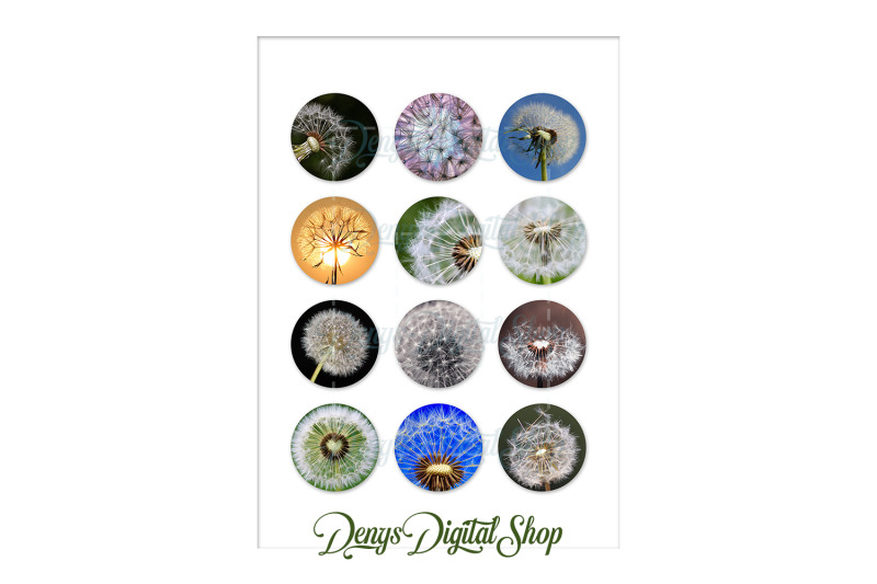 dandelion-digital-collage-sheet-dandelions-printable-circle