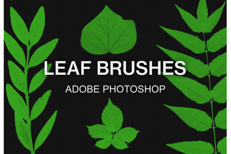 adobe-photoshop-leaves-brush-pack-paint-brushes-set