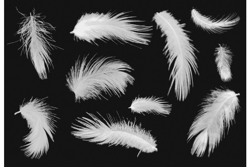 adobe-photoshop-feather-brush-pack-paint-brushes-set