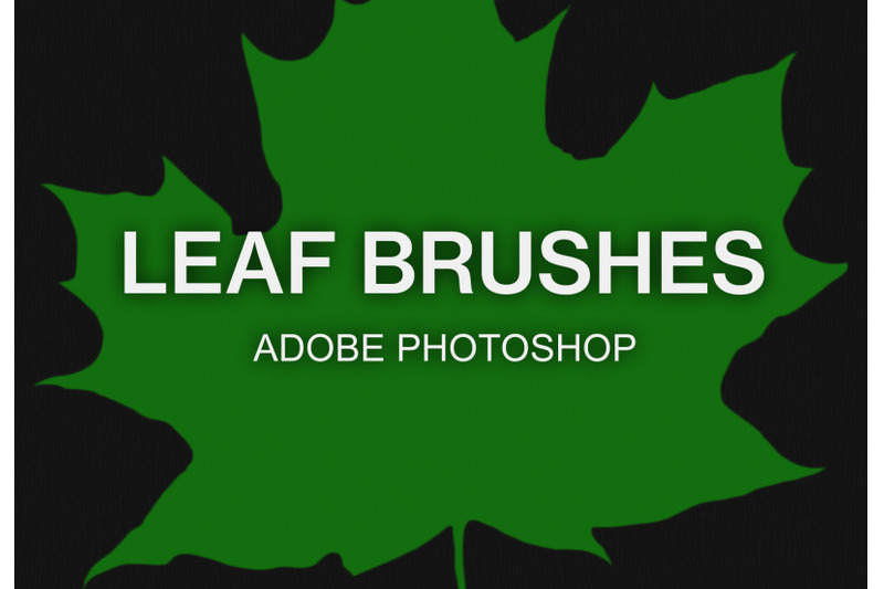 adobe-photoshop-leaf-brush-pack-paint-brushes-set