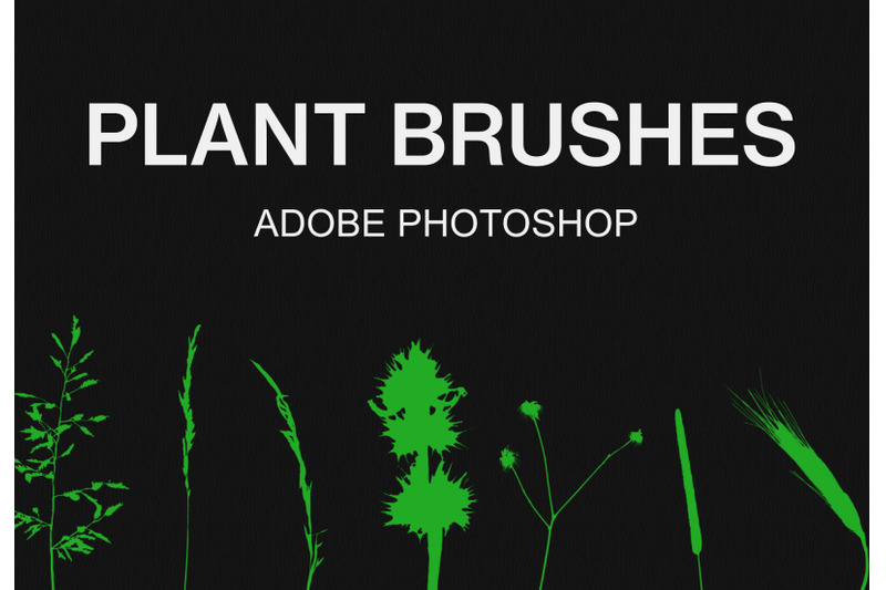 adobe-photoshop-plant-brush-pack-paint-brushes-set