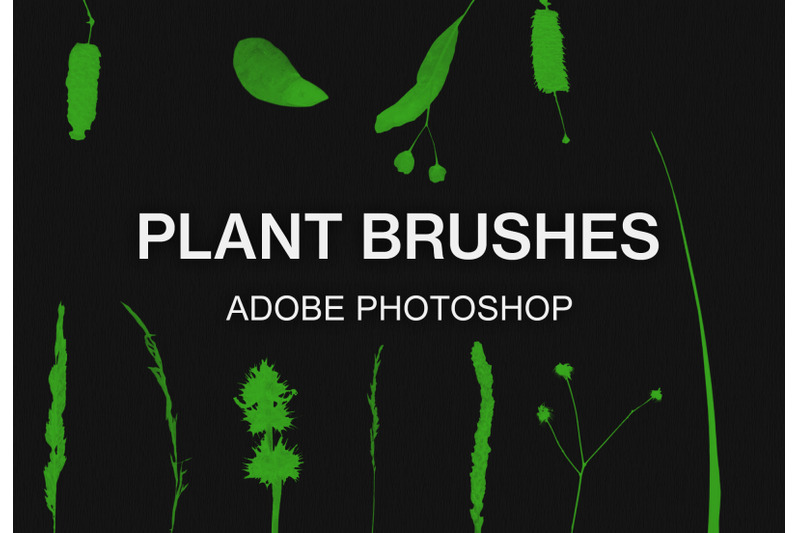 adobe-photoshop-plant-brush-pack-paint-brushes-set