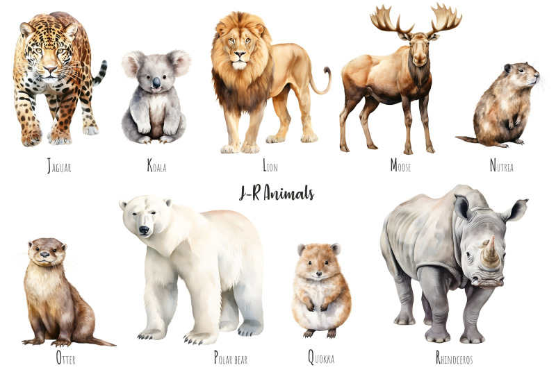 watercolor-abc-animals-alphabet-animals-clipart-watercolor-a-z-animals-clip-art-alphabet-zoo-animals-safari-animals-clipart-a-to-z-png