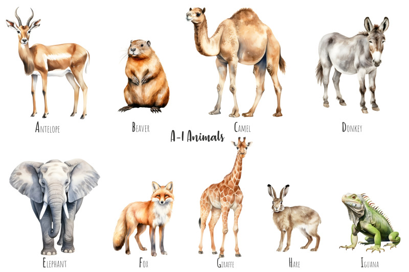 watercolor-abc-animals-alphabet-animals-clipart-watercolor-a-z-animals-clip-art-alphabet-zoo-animals-safari-animals-clipart-a-to-z-png