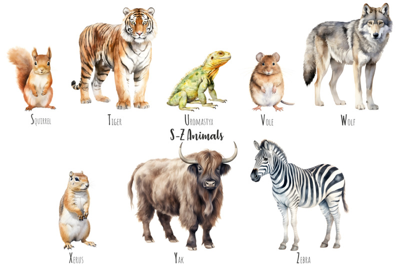 watercolor-abc-animals-alphabet-animals-clipart-watercolor-a-z-animals-clip-art-alphabet-zoo-animals-safari-animals-clipart-a-to-z-png