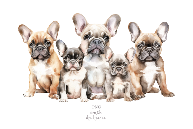 french-bulldogs