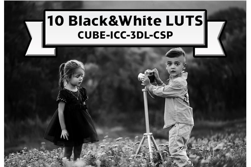 black-and-white-lut-collection-photo-filter-color-table
