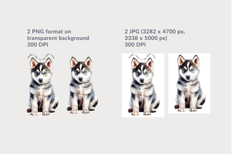 siberian-husky-puppy-sublimation